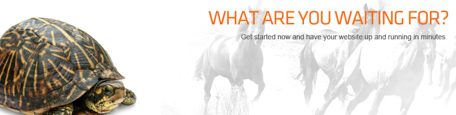 WebHostingBuzz