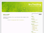 Wordpress Theme