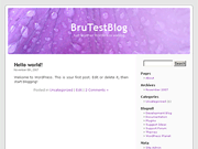 Wordpress Theme