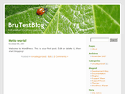 Wordpress Theme
