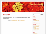 Wordpress Theme