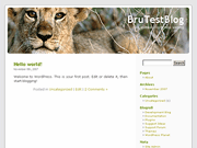Wordpress Theme