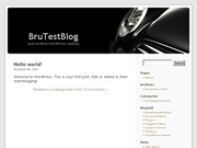 Wordpress Theme
