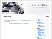 Wordpress Theme