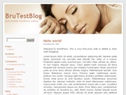 Wordpress Theme