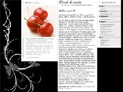 Wordpress Theme