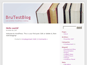 Wordpress Theme