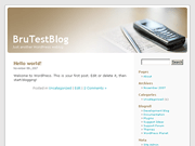 Wordpress Theme
