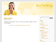 Wordpress Theme