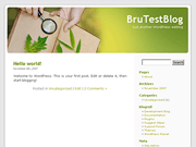 Wordpress Theme