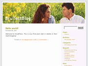 Wordpress Theme