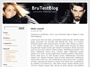 Wordpress Theme