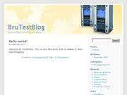 Wordpress Theme
