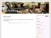 Wordpress Theme