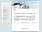 Wordpress Theme