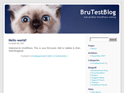 Wordpress Theme