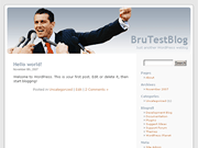 Wordpress Theme