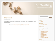 Wordpress Theme