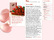 Wordpress Theme