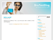 Wordpress Theme