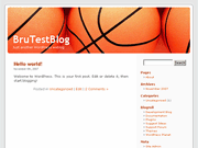 Wordpress Theme